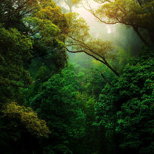 Meet your Posher, Luis